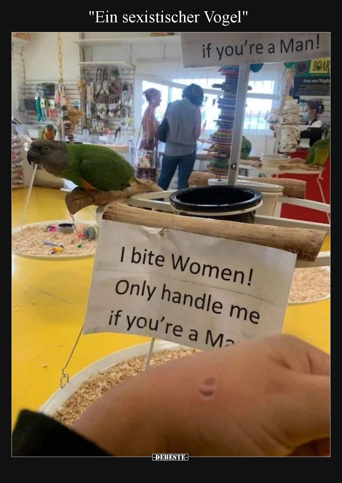 Ein sexistischer Vogel