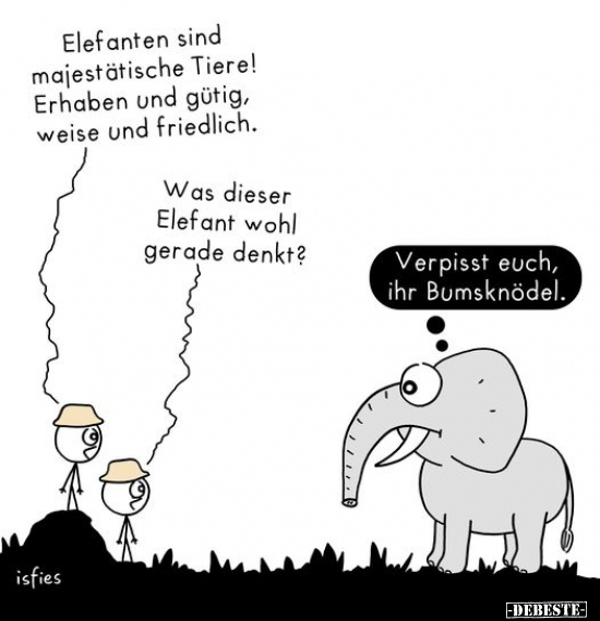 Elefanten sind majestätische Tiere!.. - Lustige Bilder | DEBESTE.de