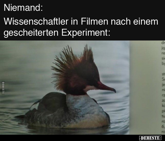 Niemand: Wissenschaftler in Filmen nach einem.. - Lustige Bilder | DEBESTE.de