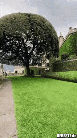 Wenn der Gärtner gut drauf ist..