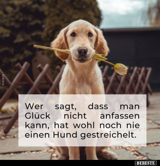 Wer Sagt, dass man Glück nicht anfassen kann, hat wohl noch.. - Lustige Bilder | DEBESTE.de