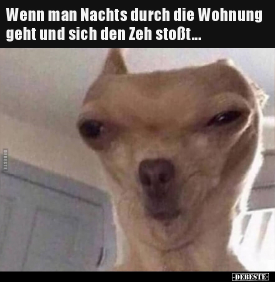 Wenn man Nachts durch die Wohnung geht und sich den Zeh.. - Lustige Bilder | DEBESTE.de