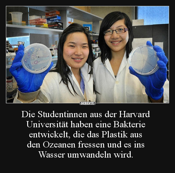 Die Studentinnen aus der Harvard Universität haben eine..