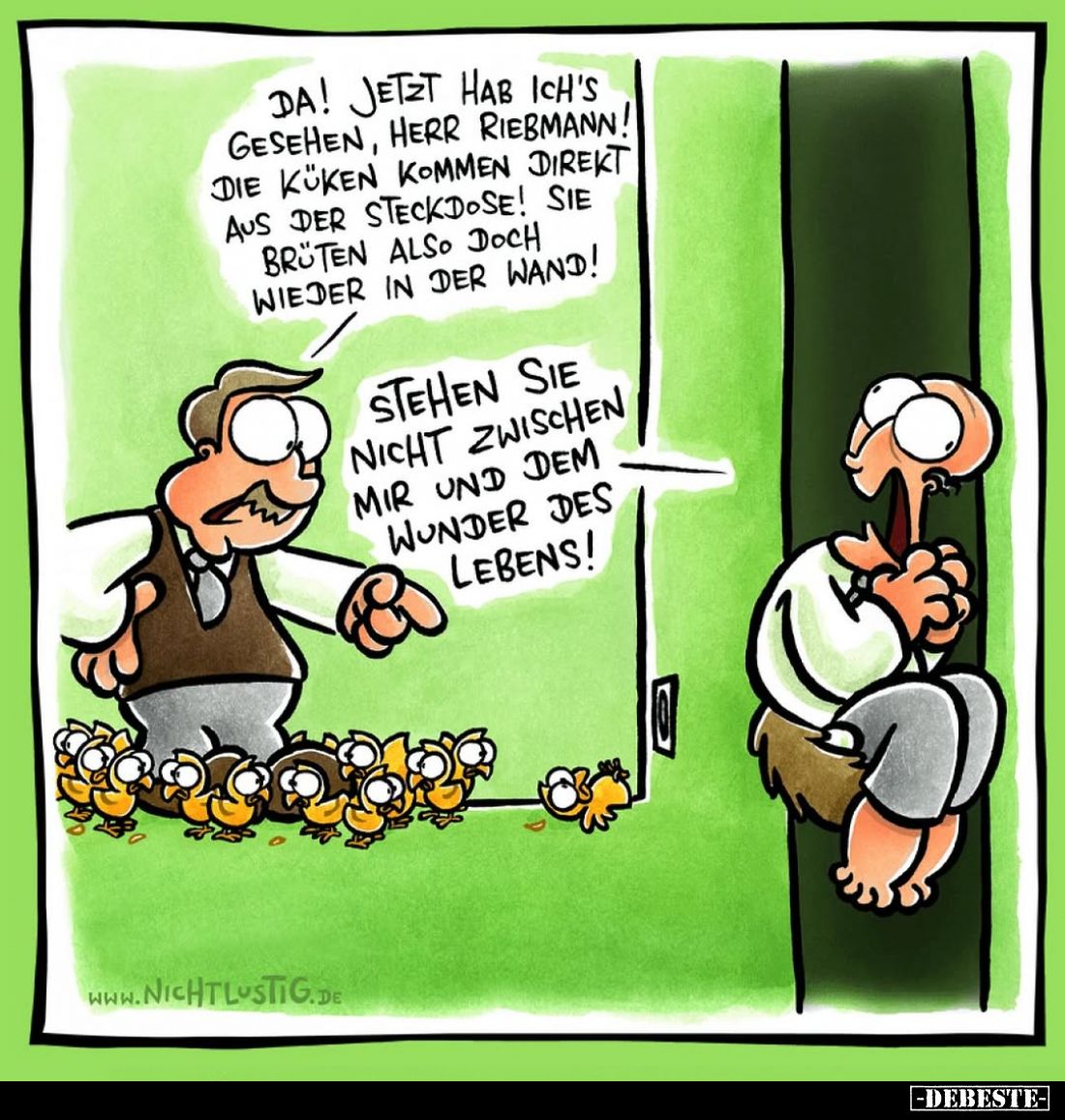 Da! Jetzt hab ich's gesehen, Herr Riebmann! Die Küken kommen direkt aus der Steckdose! Sie brüten also doch wieder in der Wan...