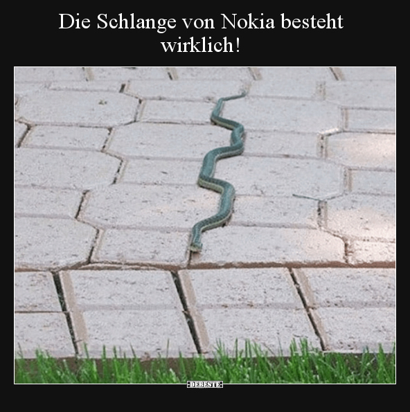 Die Schlange von Nokia besteht wirklich!.. - Lustige Bilder | DEBESTE.de