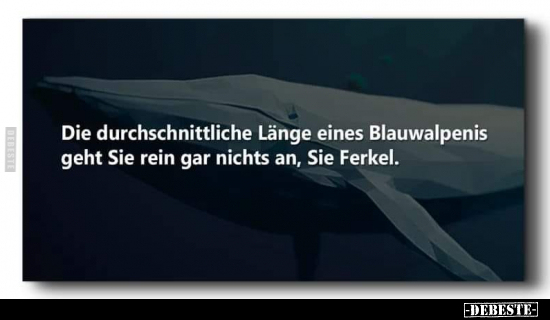 Die durchschnittliche Länge eines Blauwalpenis geht Sie.. - Lustige Bilder | DEBESTE.de