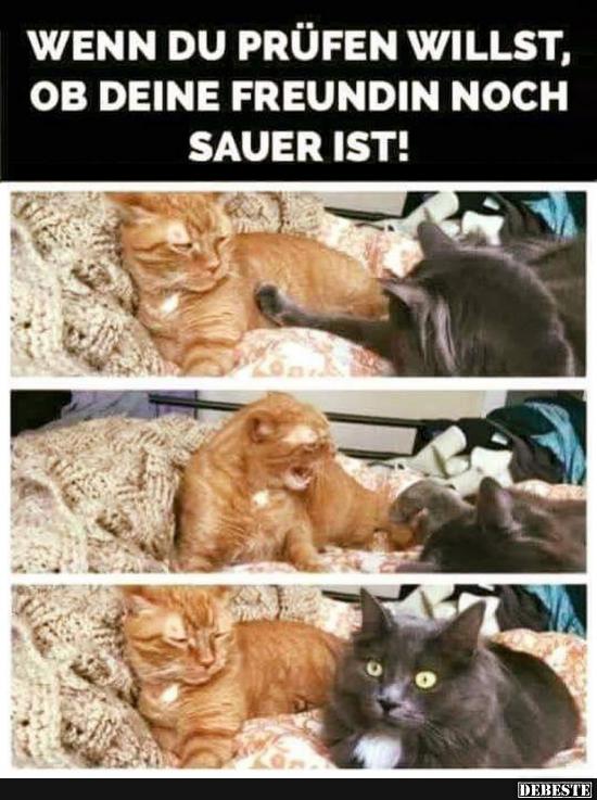 freundin ist sauer