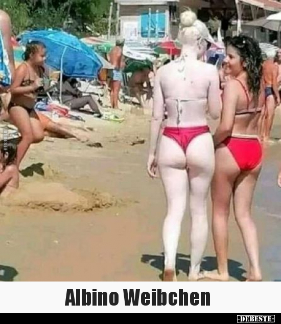 Albino Weibchen... - Lustige Bilder | DEBESTE.de