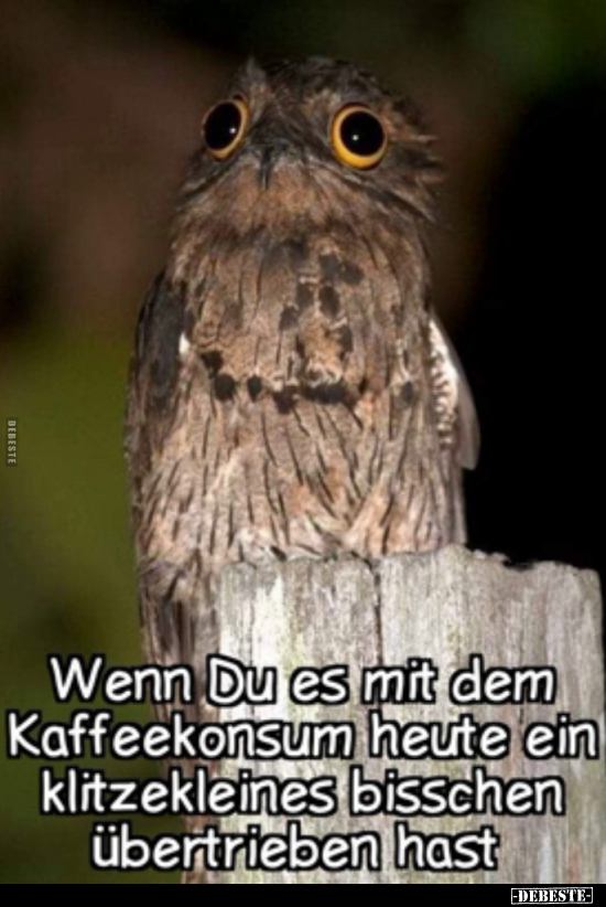 Wenn Du es mit dem Kaffeekonsum heute ein klitzekleines.. - Lustige Bilder | DEBESTE.de