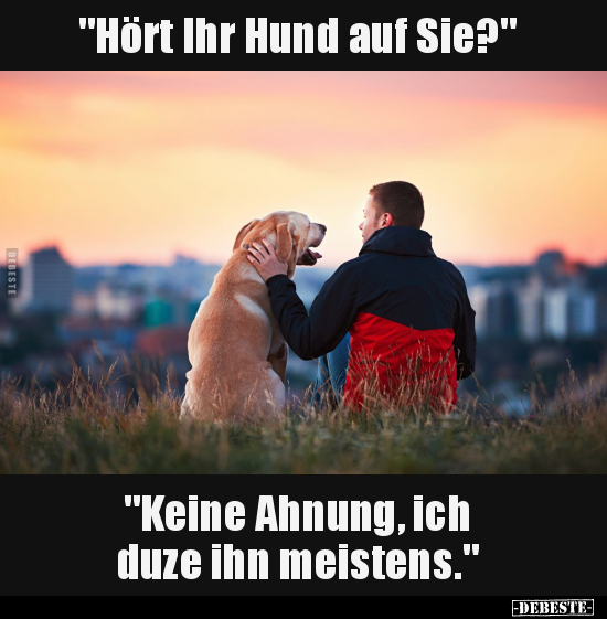 "Hört Ihr Hund auf Sie?".. - Lustige Bilder | DEBESTE.de