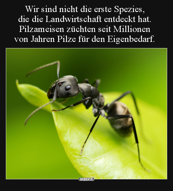 Wir sind nicht die erste Spezies, die die Landwirtschaft.. - Lustige Bilder | DEBESTE.de