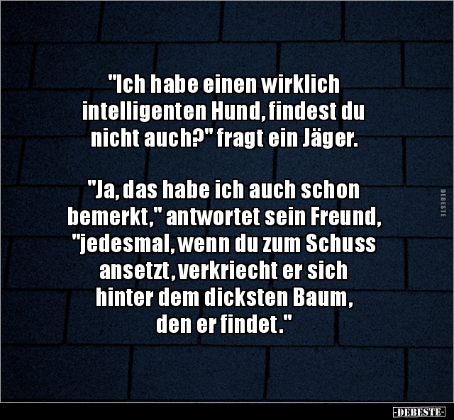 "Ich habe einen wirklich intelligenten Hund, findest du.." - Lustige Bilder | DEBESTE.de