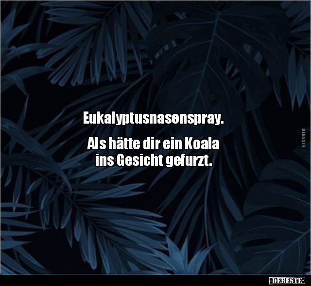 Eukalyptusnasenspray. Als hätte dir ein Koala ins.. - Lustige Bilder | DEBESTE.de