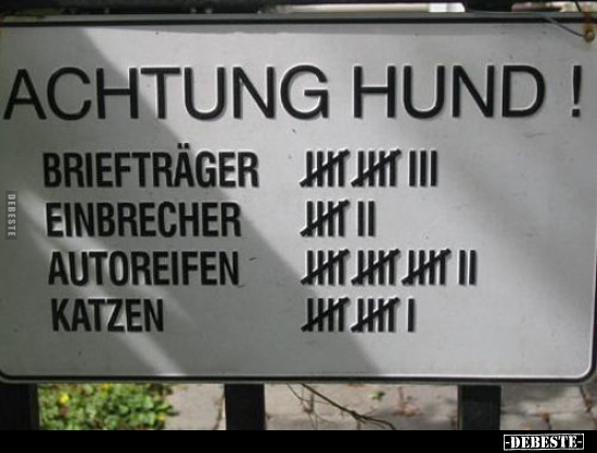 Achtung Hund!.. - Lustige Bilder | DEBESTE.de