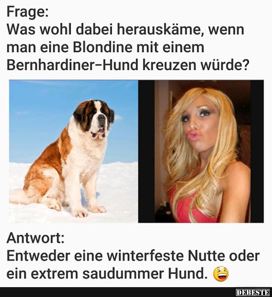 Frage: Was wohl dabei herauskäme, wenn man eine Blondine mit.. - Lustige Bilder | DEBESTE.de