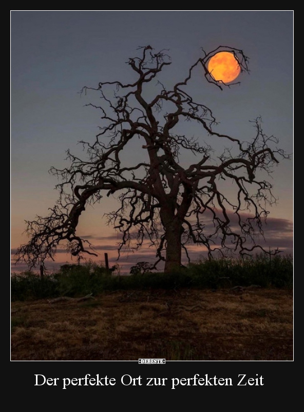 Der perfekte Ort zur perfekten Zeit..