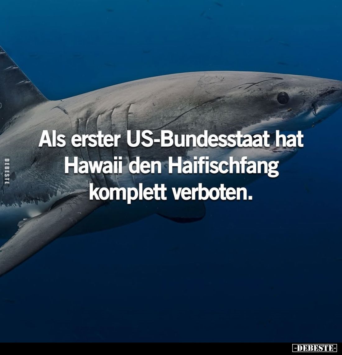 Als erster US-Bundesstaat hat Hawaii... - Lustige Bilder | DEBESTE.de