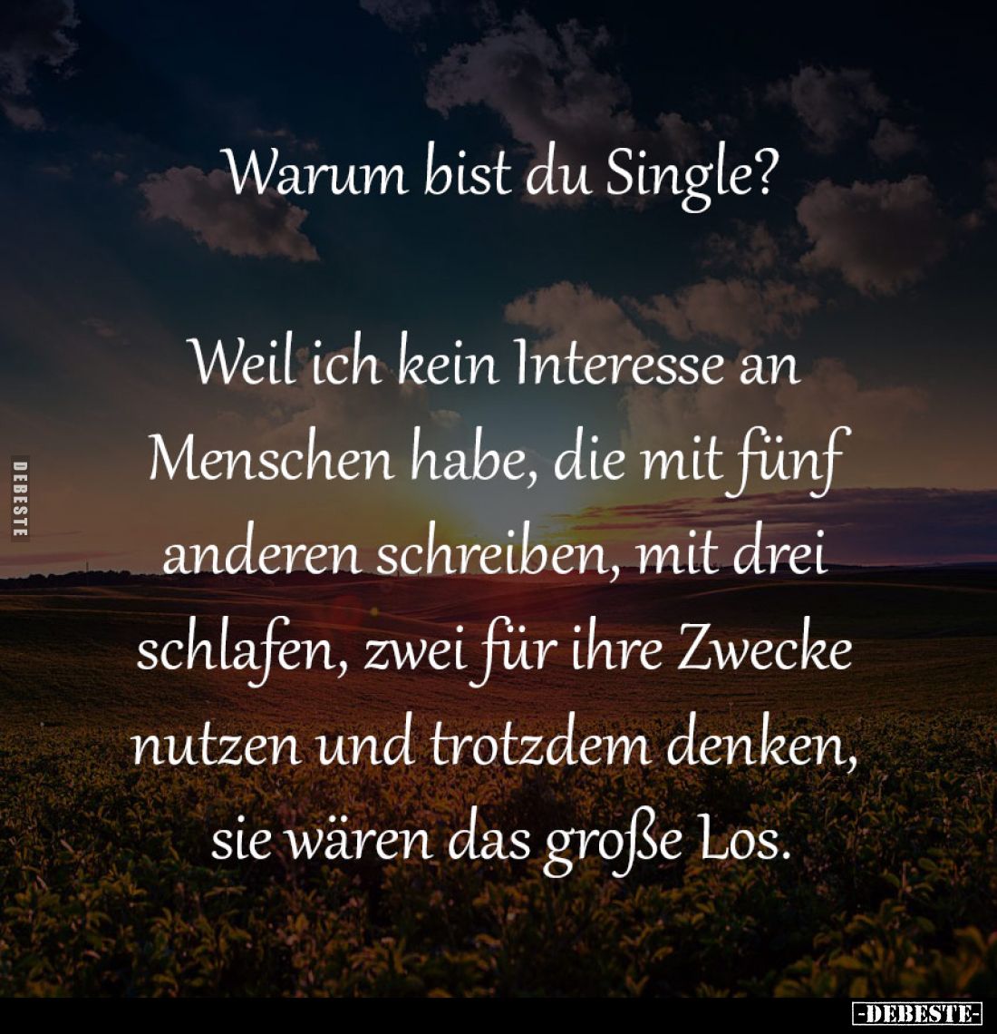 Warum bist du Single?

Weil ich kein Interesse an 
Menschen habe, die mit fünf 
anderen schreiben, mit drei 
schlafen, z...