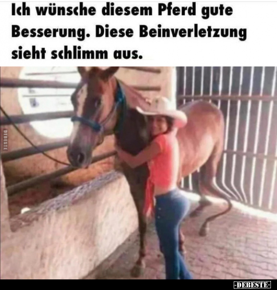 Ich wünsche diesem Pferd gute Besserung.. - Lustige Bilder | DEBESTE.de