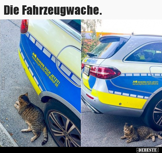 Die Fahrzeugwache... - Lustige Bilder | DEBESTE.de