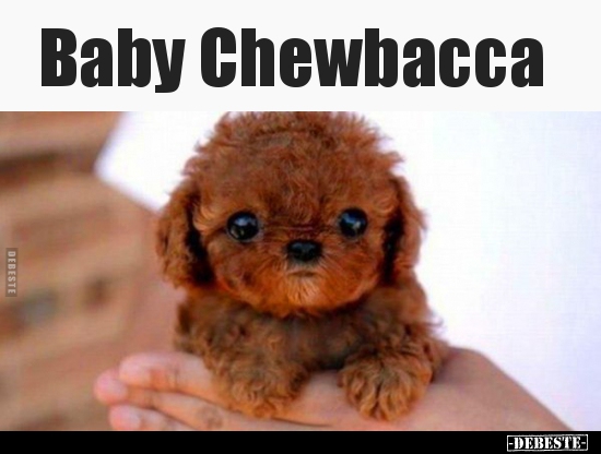 Baby Chewbacca.. - Lustige Bilder | DEBESTE.de