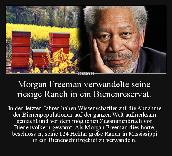 Morgan Freeman verwandelte seine riesige Ranch in ein.. - Lustige Bilder | DEBESTE.de
