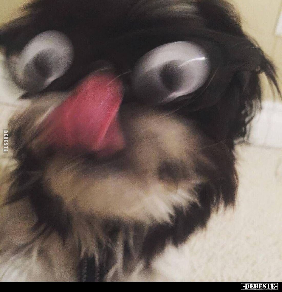  - Lustige Bilder | DEBESTE.de