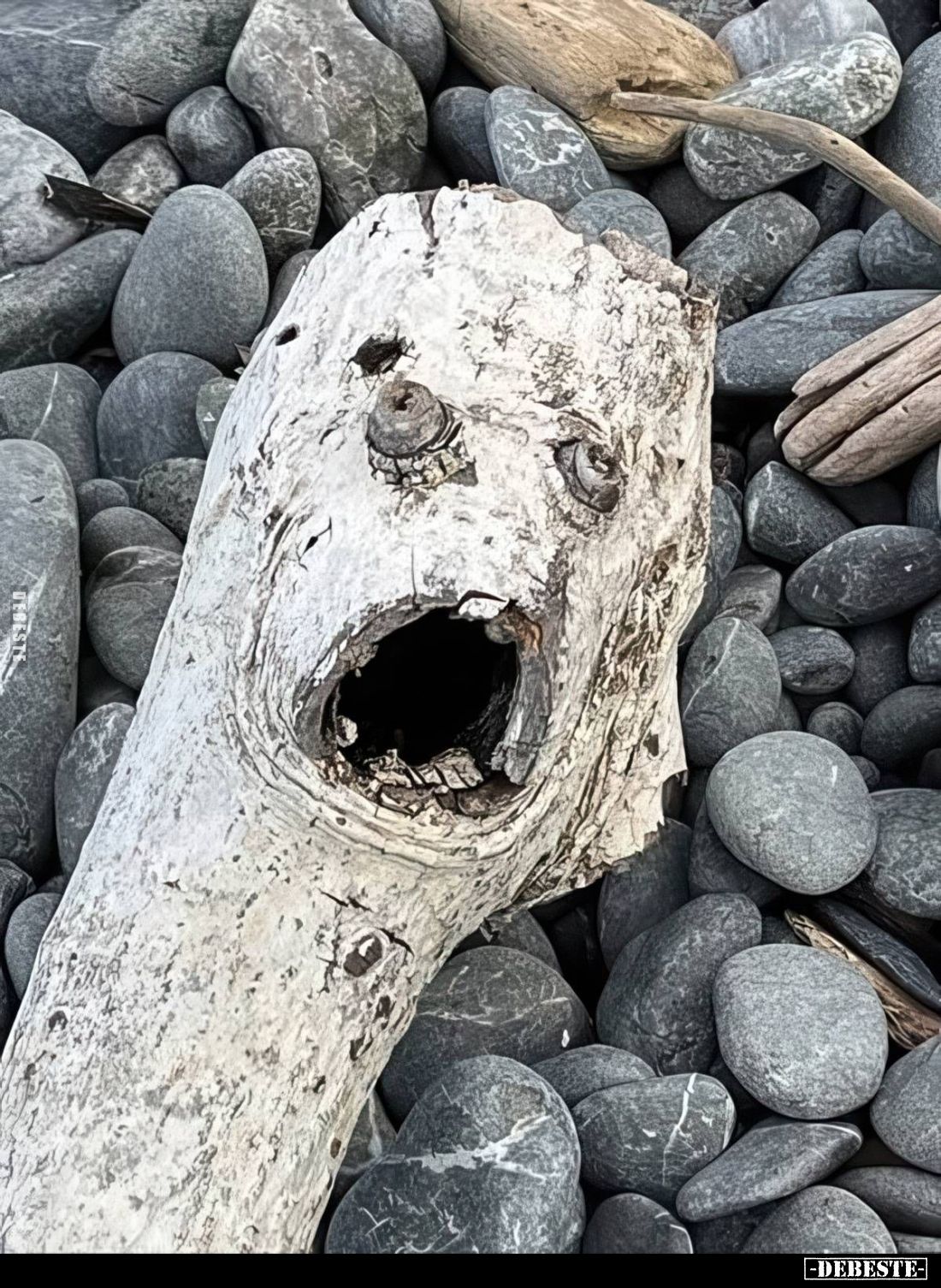 Dinge mit Gesicht