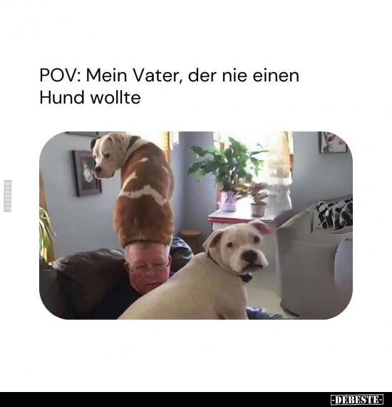 POV: Mein Vater, der nie einen Hund wollte.. - Lustige Bilder | DEBESTE.de