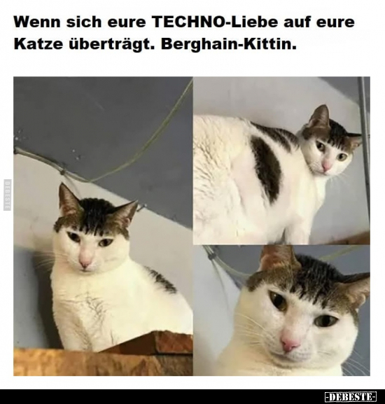 Wenn sich eure TECHNO-Liebe.. - Lustige Bilder | DEBESTE.de