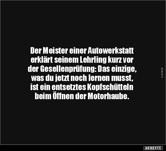 Der Meister einer Autowerkstatt erklärt seinem Lehrling.. - Lustige Bilder | DEBESTE.de