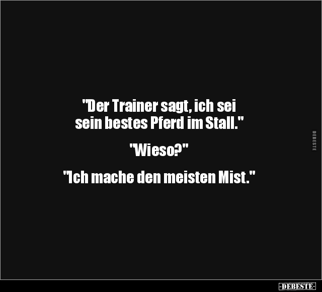 "Der Trainer sagt, ich sei sein bestes Pferd.." - Lustige Bilder | DEBESTE.de