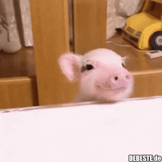 Ich, wenn ich Kaffee rieche...