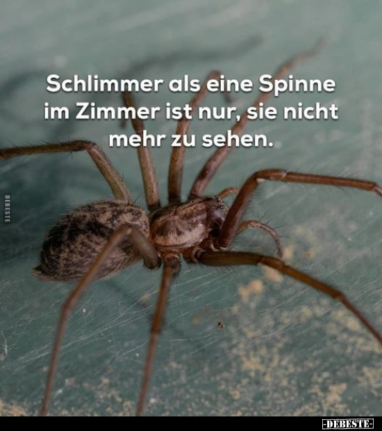 Schlimmer als eine Spinne im Zimmer ist nur, sie nicht mehr.. - Lustige Bilder | DEBESTE.de