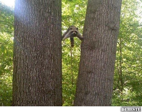 Und wie komm ich hier jetzt wieder raus?