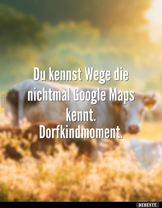 Du kennst Wege die nichtmal Google Maps kennt... - Lustige Bilder | DEBESTE.de