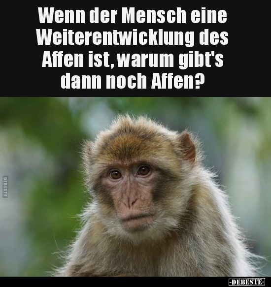 Wenn der Mensch eine Weiterentwicklung des Affen.. - Lustige Bilder | DEBESTE.de