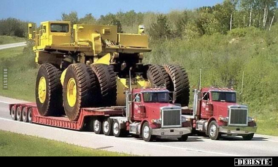  - Lustige Bilder | DEBESTE.de