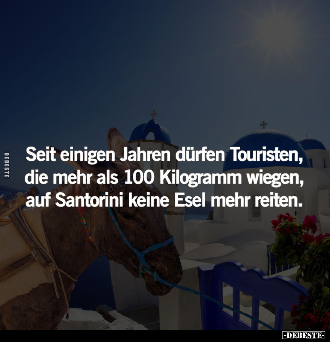 Seit einigen Jahren dürfen Touristen, die mehr als 100 Kilogramm wiegen, auf Santorini keine Esel mehr reiten.