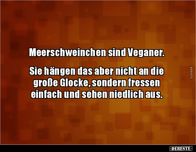 Meerschweinchen sind Veganer.. - Lustige Bilder | DEBESTE.de