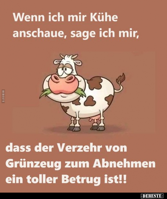 Wenn ich mir Kühe anschaue, sage ich mir, dass.. - Lustige Bilder | DEBESTE.de