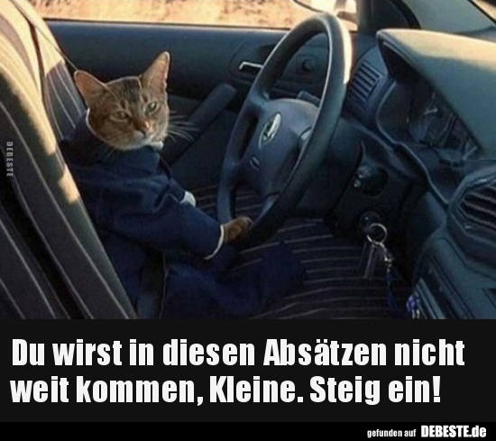  Du wirst in diesen Absätzen nicht weit kommen, Kleine..