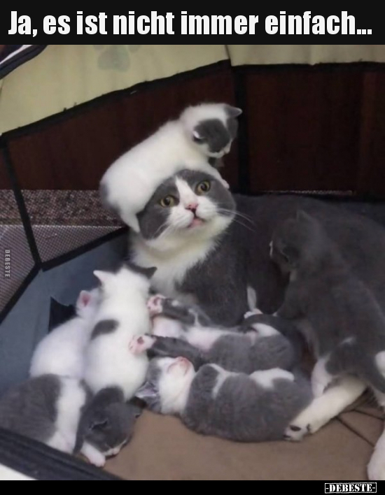 Ja, es ist nicht immer einfach...