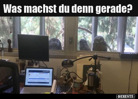 Was machst du denn gerade?..