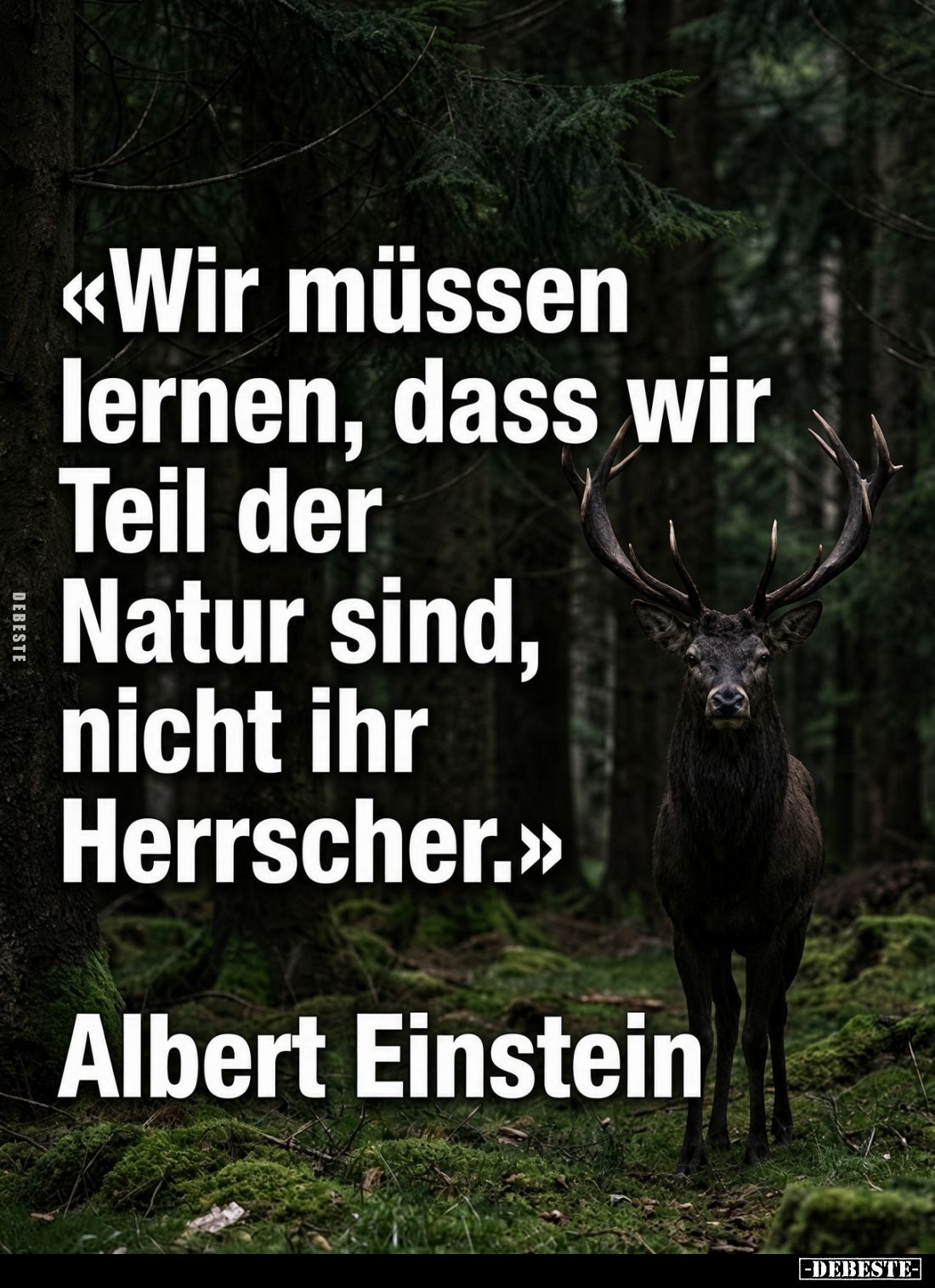 «Wir müssen lernen, dass wir Teil der Natur sind, nicht ihr Herrscher.» Albert Einstein