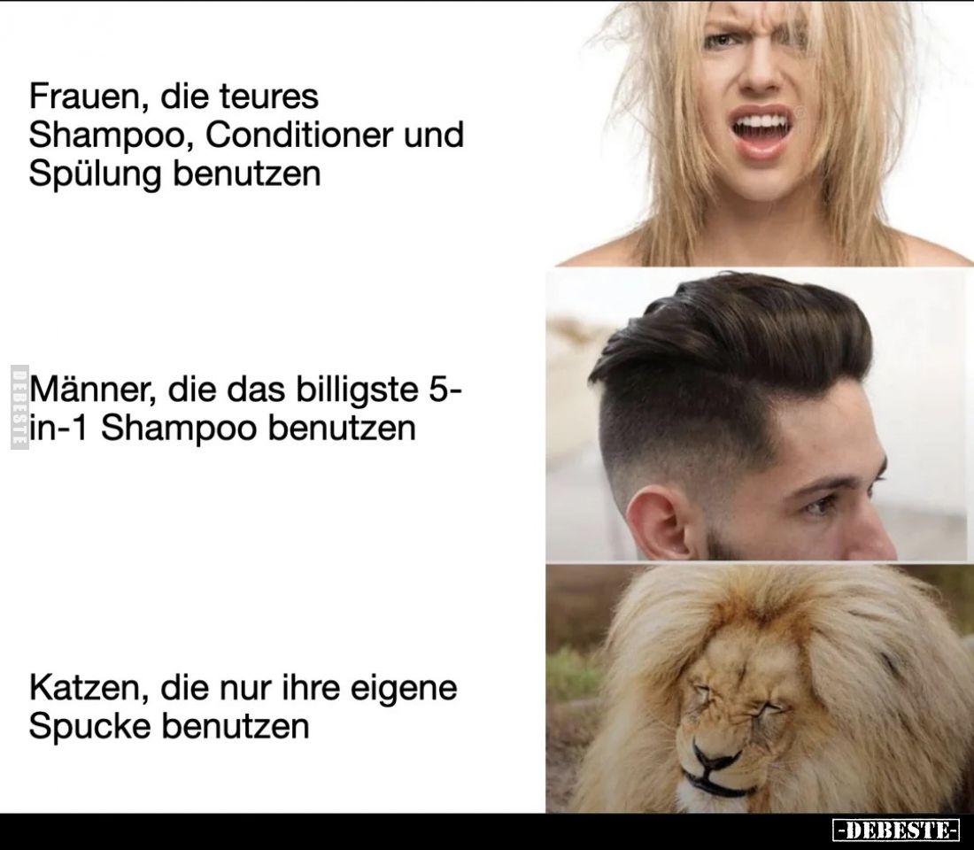 Frauen, die teures Shampoo, Conditioner und Spülung benutzen.
Männer, die das billigste 5-in-1 Shampoo benutzen.
Katzen...