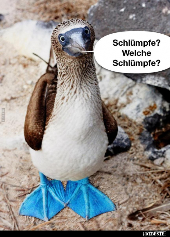 Schlümpfe? Welche Schlümpfe?