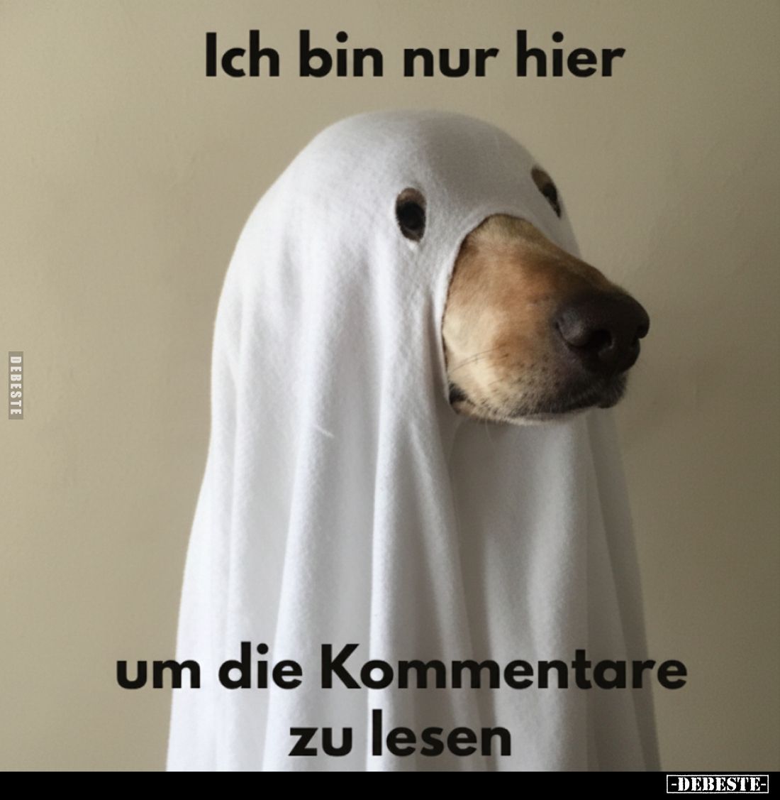 Ich bin nur hier um die Kommentare zu lesen.. - Lustige Bilder | DEBESTE.de