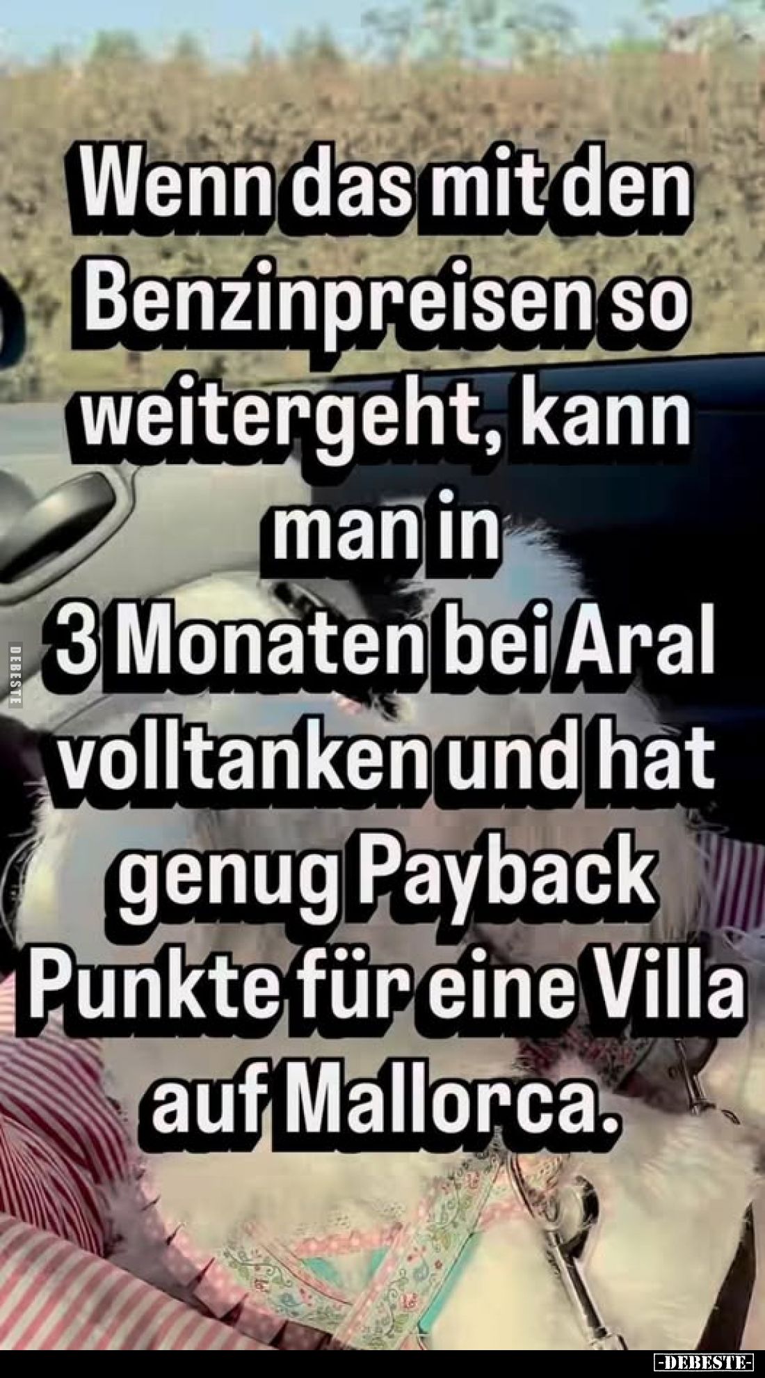 Wenn das mit den Benzinpreisen so weitergeht, kann man in 3.. - Lustige Bilder | DEBESTE.de