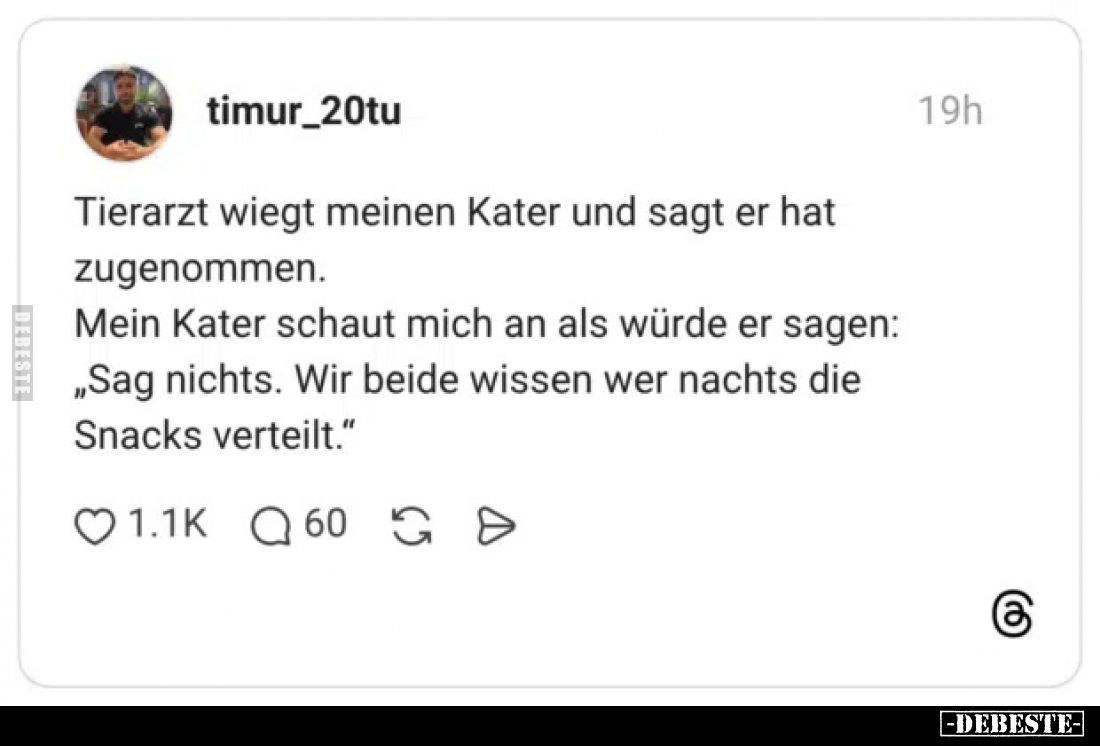 Tierarzt wiegt meinen Kater und sagt er hat zugenommen.
Mein Kater schaut mich an als würde er sagen:
„Sag nichts. Wir beid...